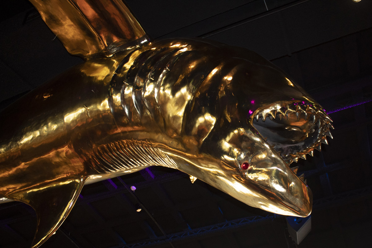 images/gallery/seizoensopeningb2b